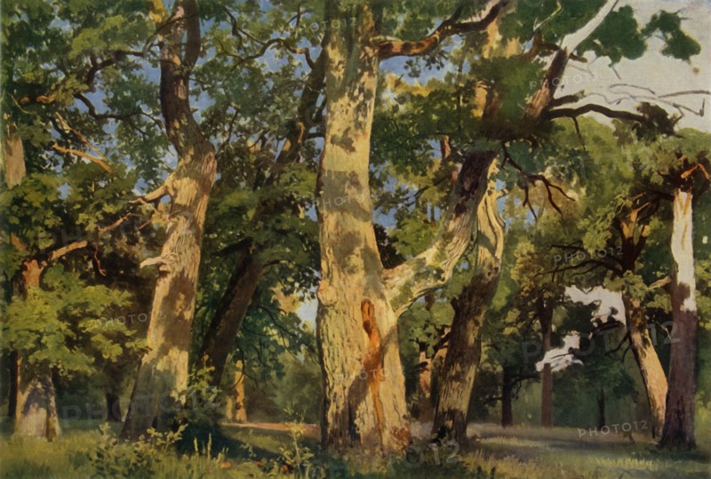 Oak Trees at Eventide', 1887, (1965).