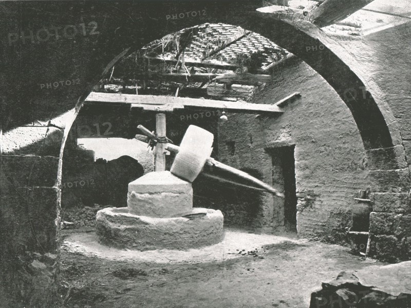 Primitive corn-mill, Nile Delta, Egypt, 1895.