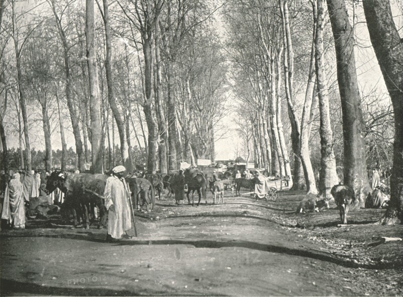 Arab fair and market', Boufarik, Algeria, 1895.
