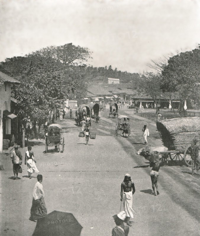 Street scene near the Town Hall, Colombo, Ceylon, 1895.