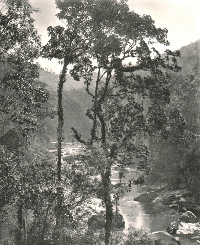 View of the Kelani River, Kurunegala, Ceylon, 1895.