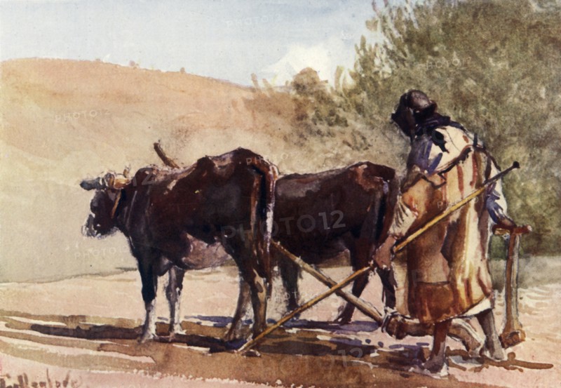 Ploughing on the Mount of Olives', 1902.