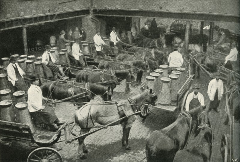 Delivery Vans Starting from Messrs, Freeth and Pocock's Central Depot at Vauxhall', 1902.