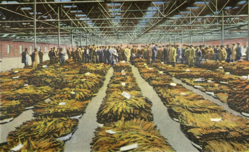 Tobacco Sale, an ever interesting Scene', 1942.