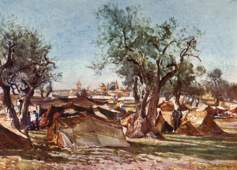 Bedouin Encampment Outside the North Wall of Jerusalem', 1902.