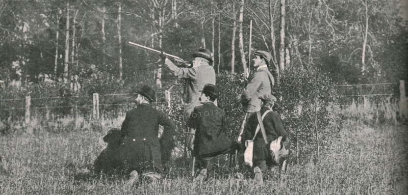 The King shooting over Sandringham preserves', 1900s, (1910).