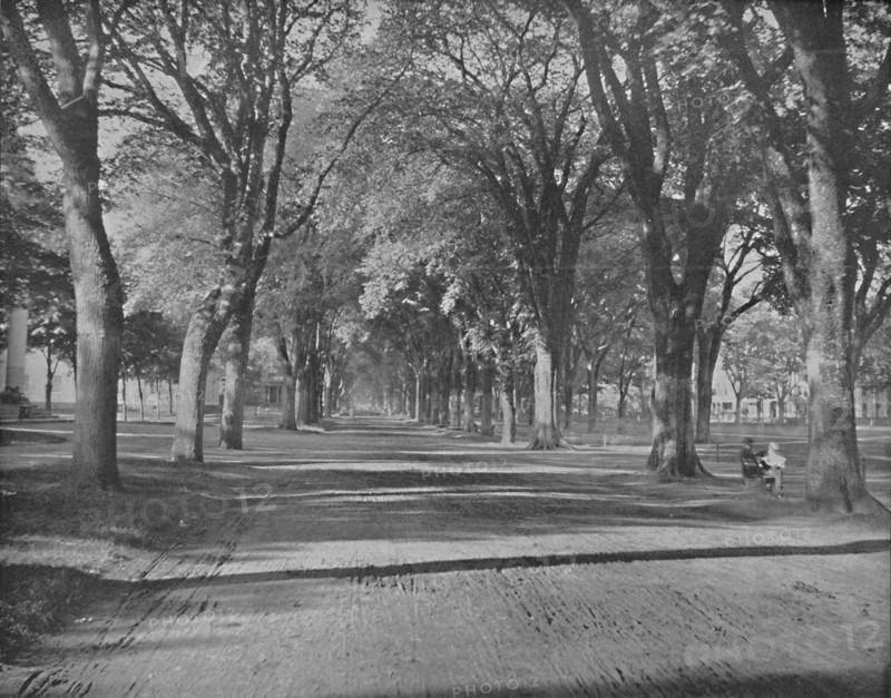 The Elms," New Haven, Conn.', c1897.