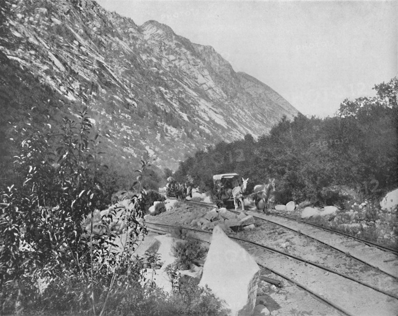 Cottonwood Canon, Utah', c1897.
