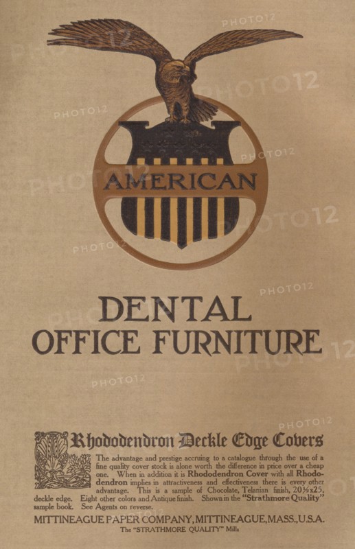 American Dental Office Furniture - Rhododendron Deckle Cage Covers', 1909. s