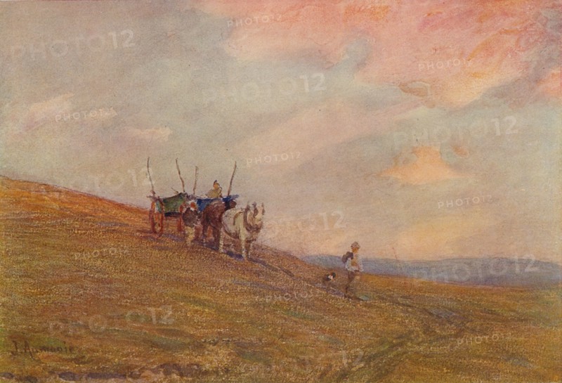 On the Downs Near Harting', c1870-1906, (1906).