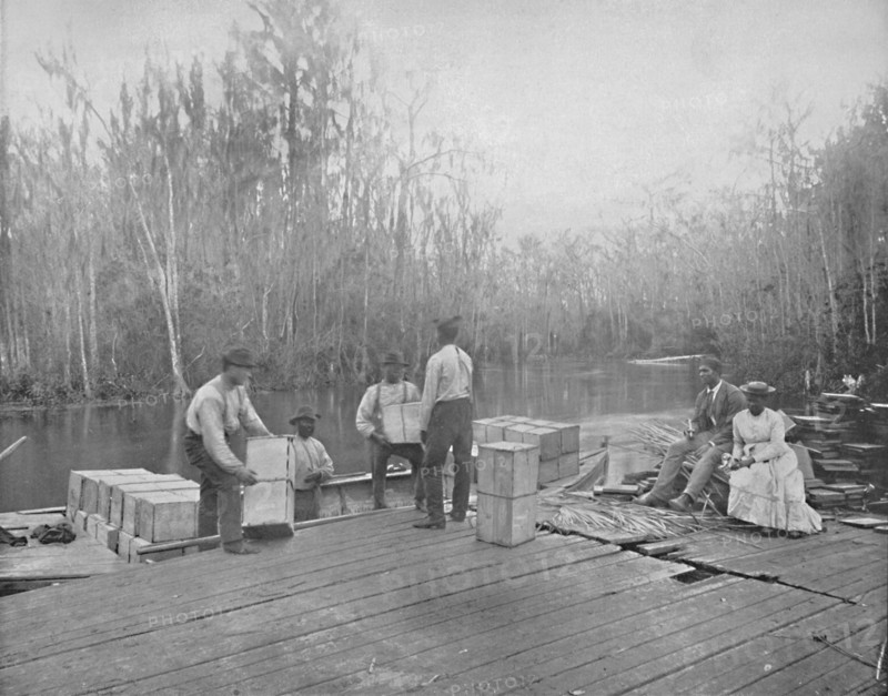 Loading Oranges on the Ocklawaha River, Florida', c1897.