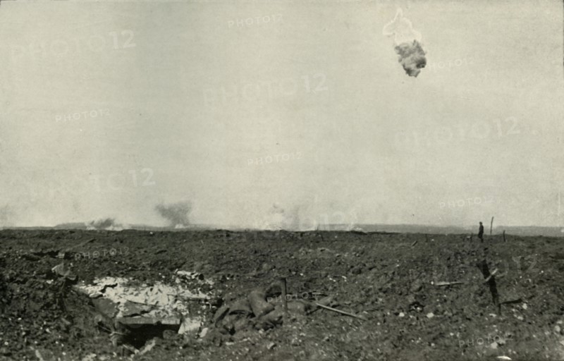 The "Woolly Bear".', (1919).