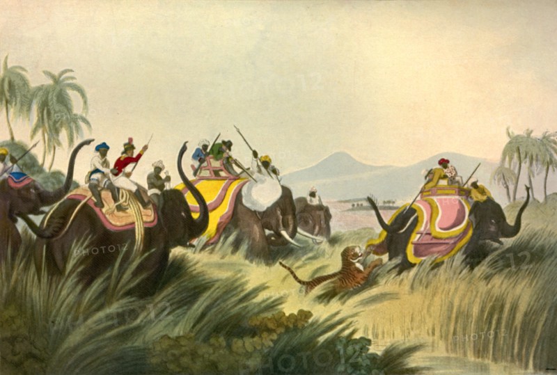 The Tiger Hunt', c1808, (1901).