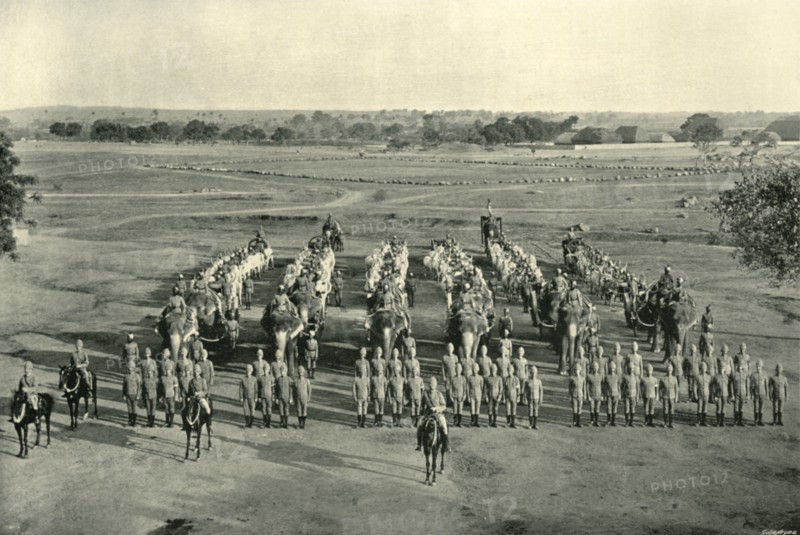 An Elephant Battery, "Camp of Exercise", Rawal Pindi', c1890, (1901).