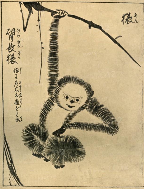 Monkey, 1720, (1924).