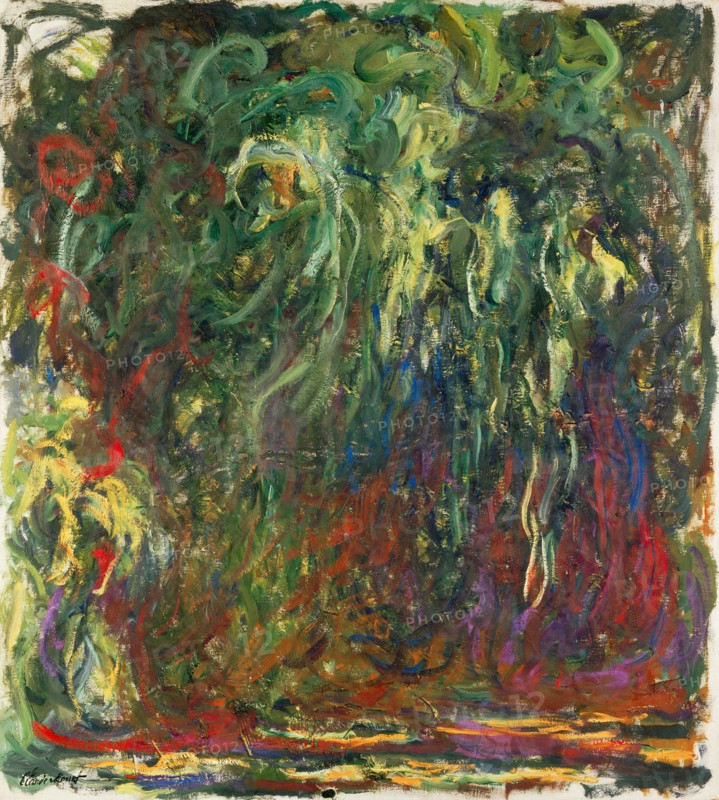 Weeping willow, 1920-1922.