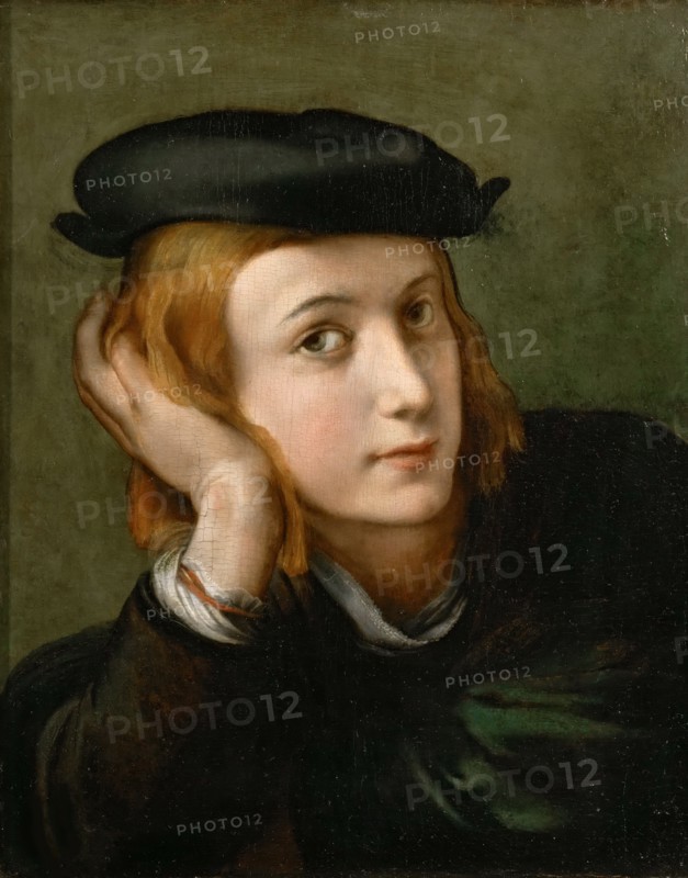 Portrait of a Boy, ca 1524.