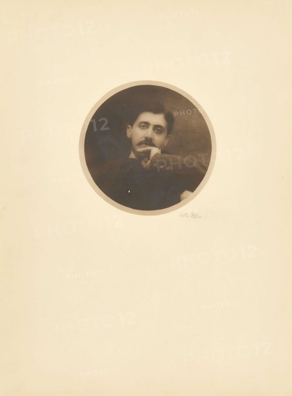 Portrait of Marcel Proust, 1896.