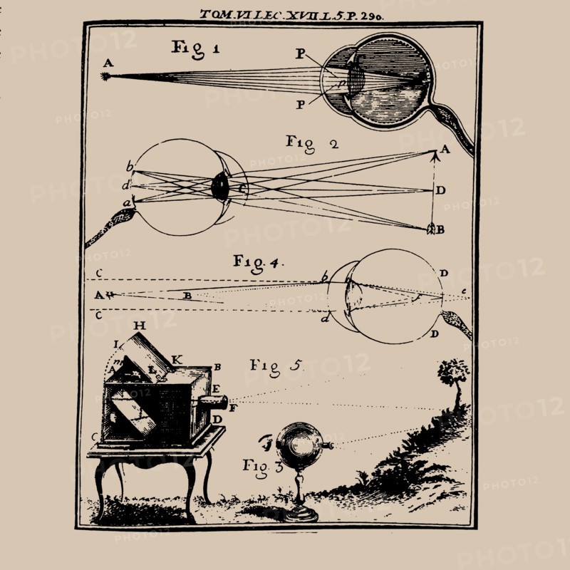 Comparative depiction of the human eye and the camera obscura, 18th century.
