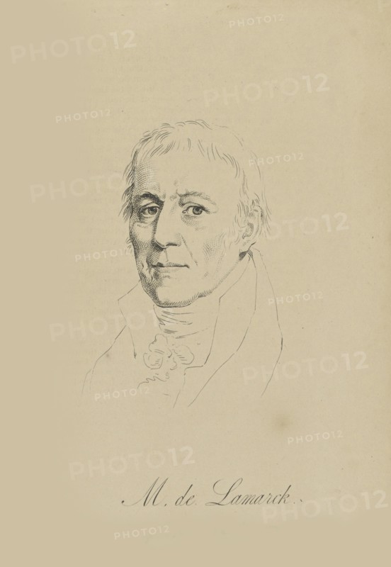 Jean-Baptiste Pierre Antoine de Monet, Chevalier de Lamarck (1744-1829), c. 1810.