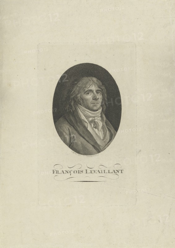 Portrait of François Levaillant (1753-1824) , 1801.