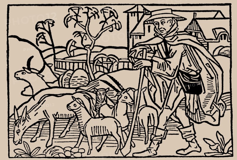 Shepherd. From Speculum Vitae Humanae by Rodericus Zamorensis, 1479.