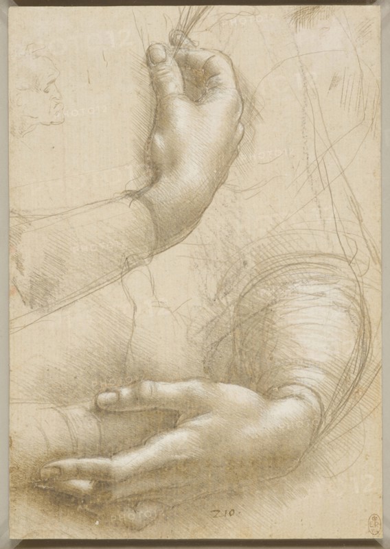 Arms and female hands, c. 1480.