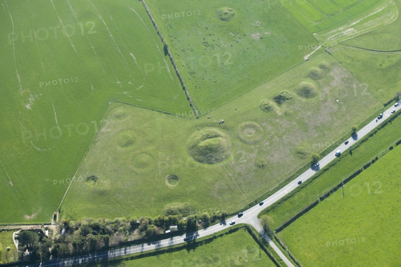 Large Bronze Age round barrow cemetery earthwork, Winterbourne Poor Lot, Dorset, 2015