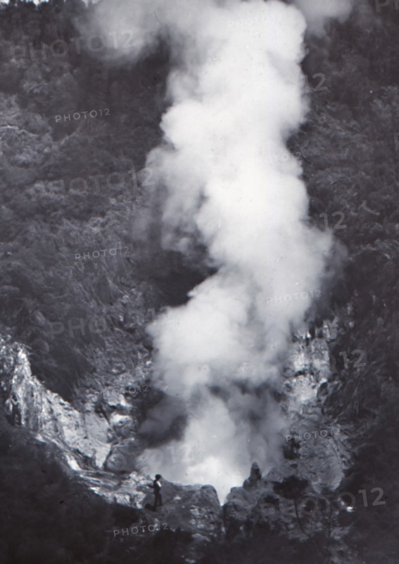 Great Wairakei Geyser', late 19th-early 20th century.