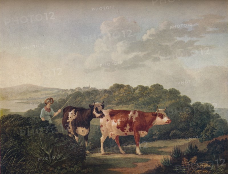 English Landscape, with Shorthorned Cattle', late 18th-early 19th century, (1930).