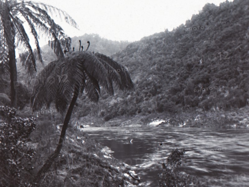 Wanganui River', late 19th-early 20th century.