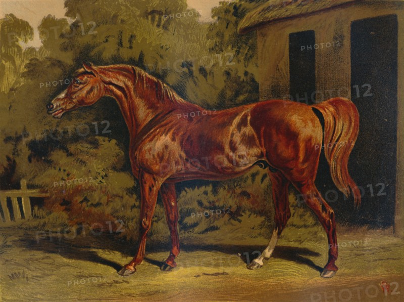 Eclipse', c1879.