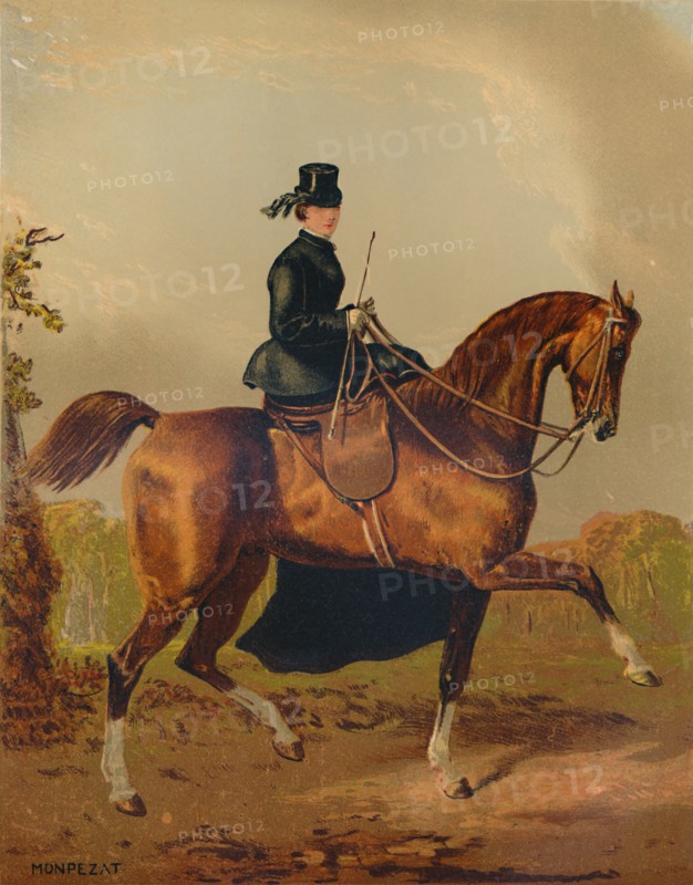 A Ladies Horse - The Property of the Late Earl of Pembroke', c1840s, (c1879).
