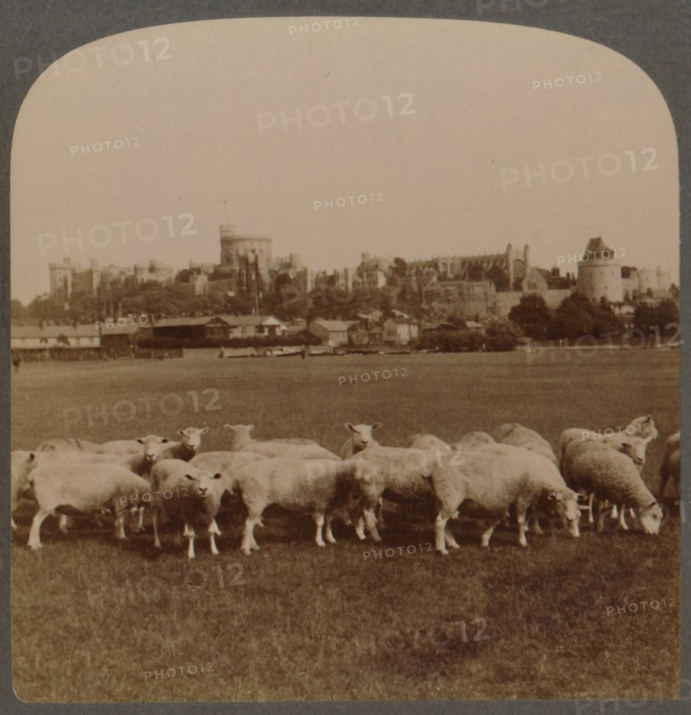 General View Windsor Castle, England', 1896