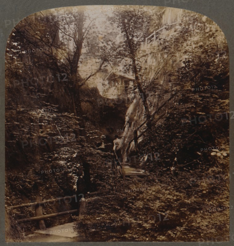 Shanklin Chine of World-wide fame, Isle of Wight, England', c1910