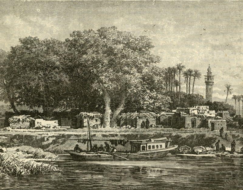 View on the Delta of the Nile', 1890.
