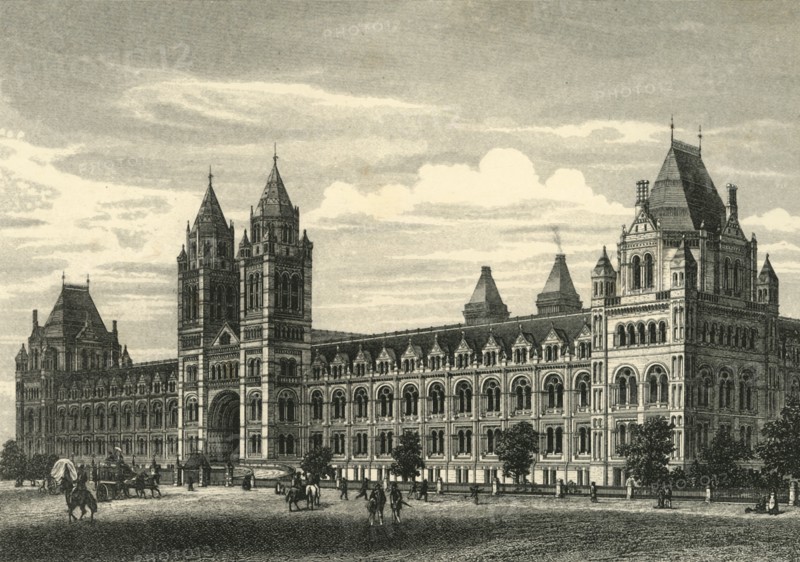 'The Natural History Museum, South Kensington'