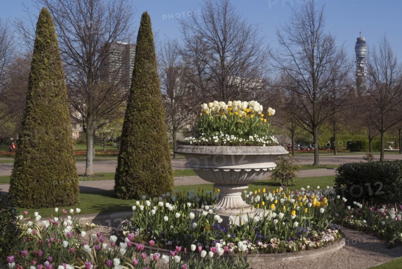 Regent's Park - Springtime floral displays in Regent's Park, London