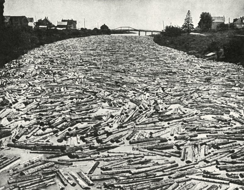 'On their Way to the Saw Mills', c1948
