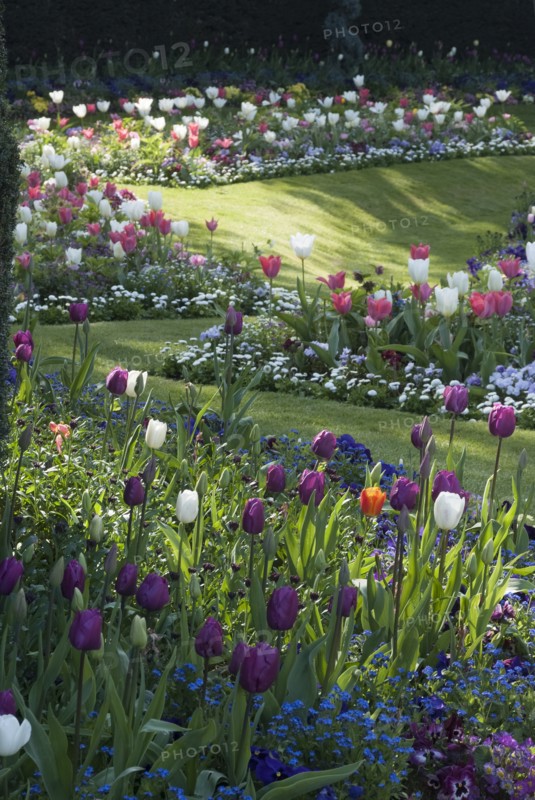 Regent's Park - Springtime floral displays in Regent's Park, London
