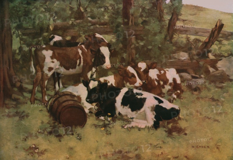'Contentment', c1903, (c1930).  Creator: David Gauld.
