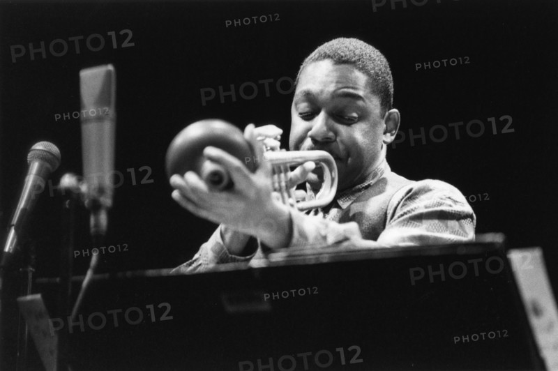 Wynton Marsalis, The Grand Clapham, London, June 4 1993. Creator: Brian Foskett.