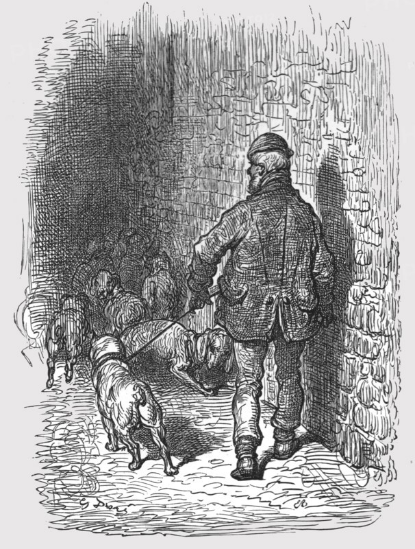 'Bull Dogs', 1872.  Creator: Gustave Doré.