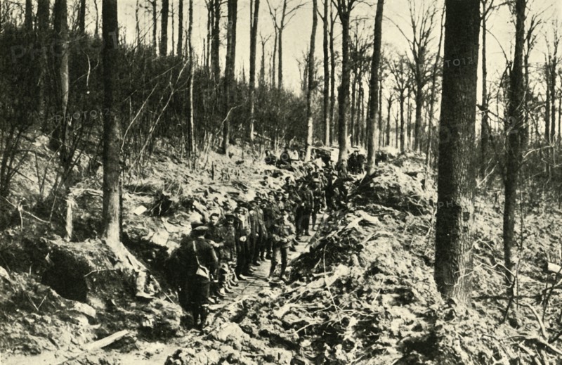 'Canadian Infantry in a Wood at the Front', First World War, 1915-1916, (c1920). Creator: Unknown.