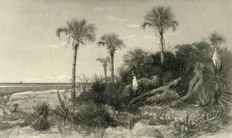 'On the Coast of Florida', 1872.  Creator: Robert Hinshelwood.