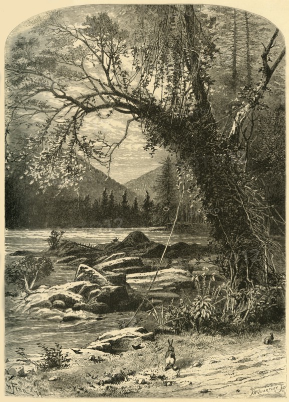 'The French Broad', 1872.  Creator: Frederick William Quartley.