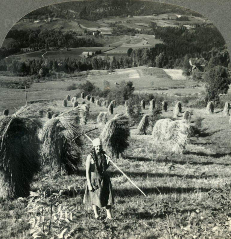 'A Telemarken Harvest Scene near Saude, Norway', c1930s. Creator: Unknown.