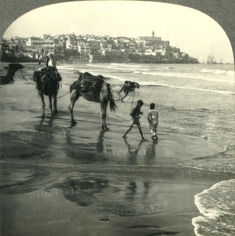 'Jaffa, the Joppa of Bible Times, Palestine', c1930s. Creator: Unknown.