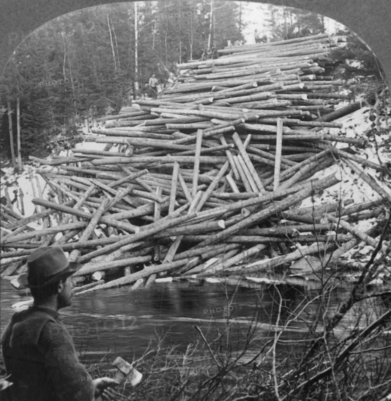 'Logs from the Forest Delivered at the Stream, Aroostook County, Me.', c1930s. Creator: Unknown.