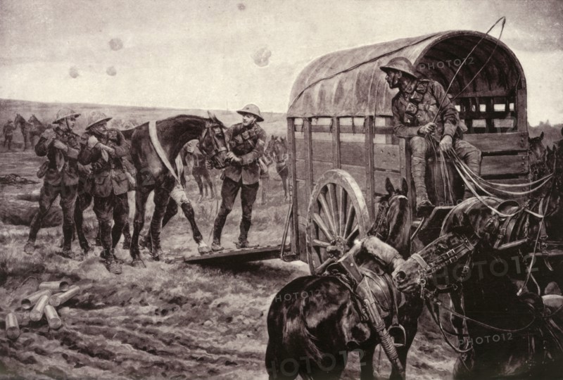 'Under the Blue Cross: Wounded Horses Being Conveyed to the Veterinary Hospital', 1917. Creator: Unknown.
